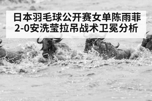 日本羽毛球公开赛女单陈雨菲2-0安洗莹拉吊战术卫冕分析